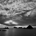 dailyPhoto31